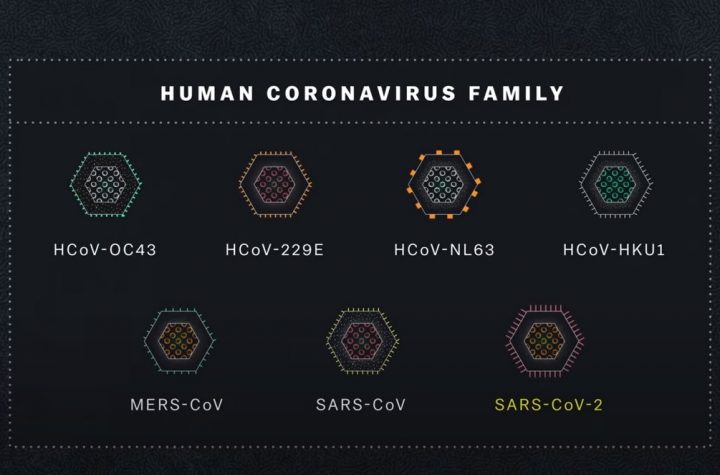 coronavirus explained