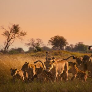 Επιβίωση Στον Παράδεισο: Μια Οικογενειακή Ιστορία